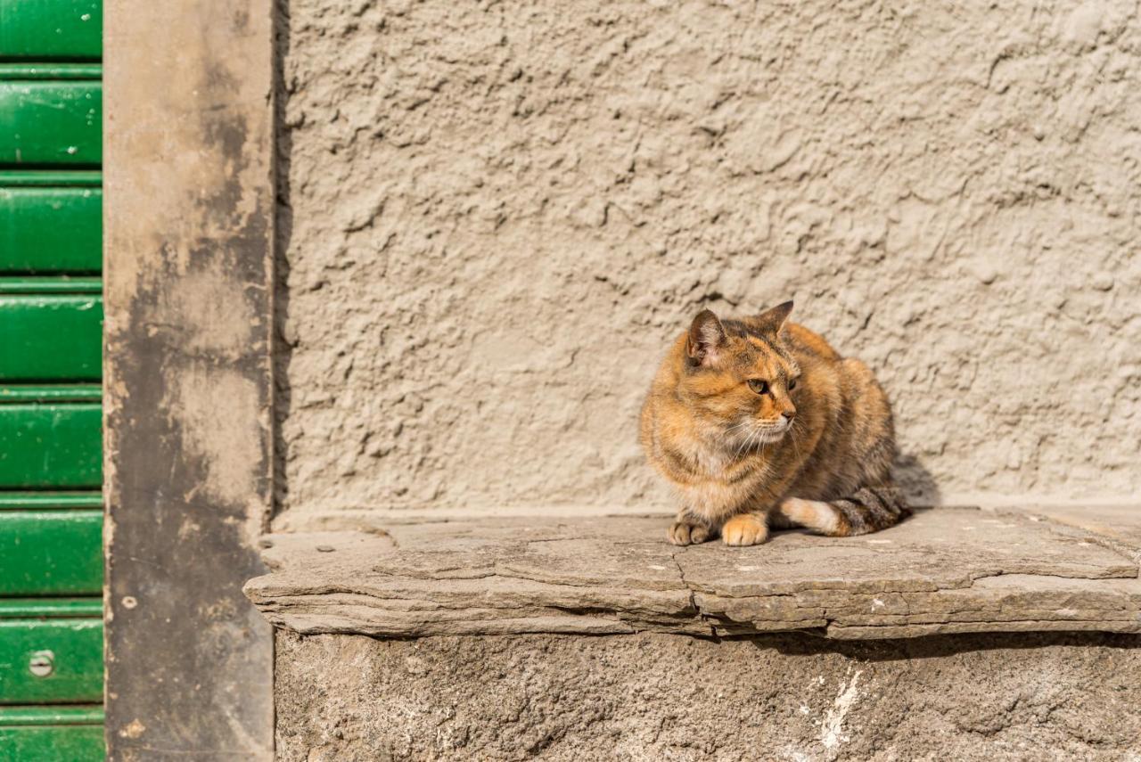 La Luna Nel Castello ヴェッツァーノ・リーグレ エクステリア 写真